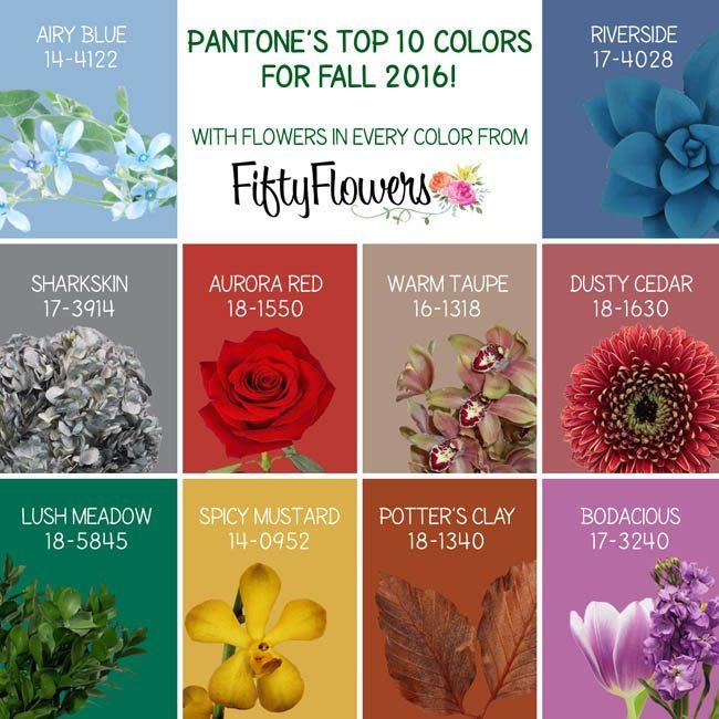 Pantone’s Color Report For Fall 2016 - Just Style LA